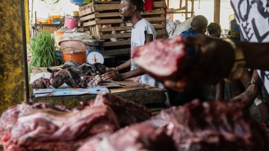 As Ebola scourges Congo, experts warn of link to the consumption of ‘wild meat’ As Ebola scourges Congo, experts warn of link to the consumption of ‘wild meat’