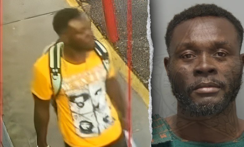 Haitian illegal immigrant who fatally beat Florida store clerk with hammer will face the death penalty Haitian illegal immigrant who fatally beat Florida store clerk with hammer will face the death penalty
