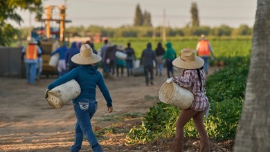 1.2M immigrants are gone from the US labor force under Trump, preliminary data shows 1.2M immigrants are gone from the US labor force under Trump, preliminary data shows