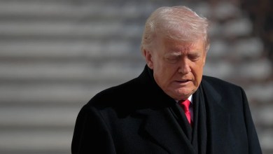 has Trump finally lost it? has Trump finally lost it?