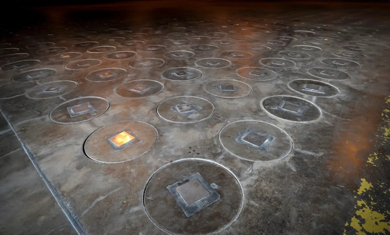 Radioactive wasp nest found at site where US once made nuclear bombs Radioactive wasp nest found at site where US once made nuclear bombs