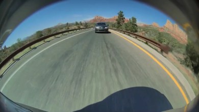 ‘This lady had followed us for a few miles’ ‘This lady had followed us for a few miles’