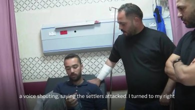 Journalists among injured as Israeli settlers attack olive harvesters in West Bank Journalists among injured as Israeli settlers attack olive harvesters in West Bank