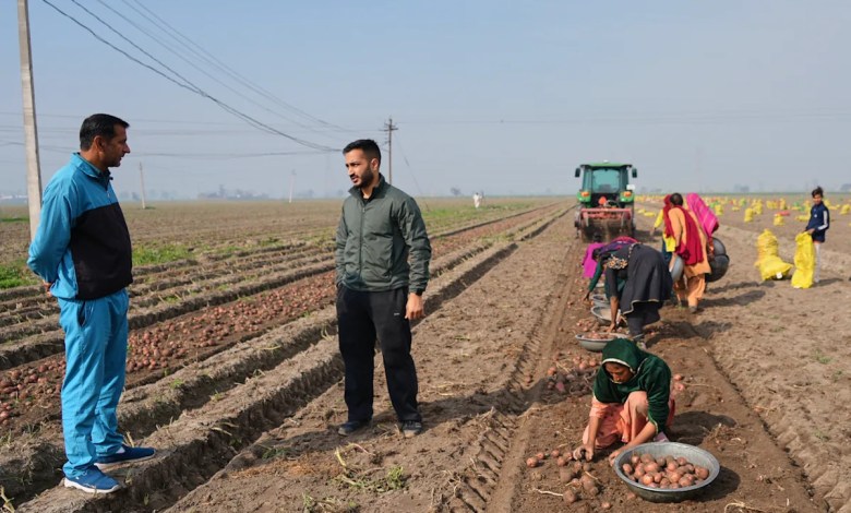 From automated farm tractors to exam paper grading, AI boosts efficiency for some in India From automated farm tractors to exam paper grading, AI boosts efficiency for some in India
