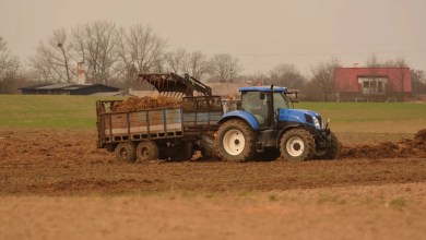 ‘This is the first direct evidence’ ‘This is the first direct evidence’