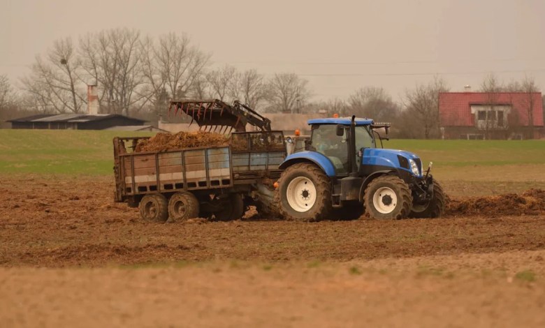 ‘This is the first direct evidence’ ‘This is the first direct evidence’