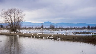 ‘There could still be some lingering problems’ ‘There could still be some lingering problems’