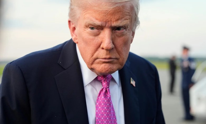 Trump makes a completely bonkers claim — and everyone laughs Trump makes a completely bonkers claim — and everyone laughs