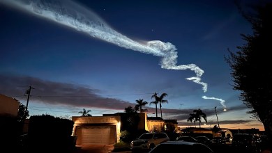 Elon Musk gets an apology from California regulators as a SpaceX lawsuit is settled Elon Musk gets an apology from California regulators as a SpaceX lawsuit is settled