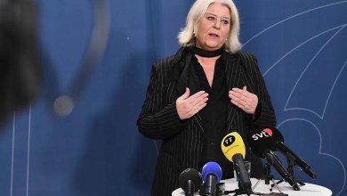 Sweden promises action against illegal sex doll sales Sweden promises action against illegal sex doll sales