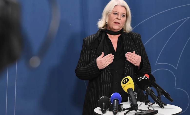 Sweden promises action against illegal sex doll sales Sweden promises action against illegal sex doll sales