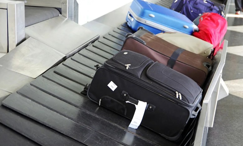 Airport authorities make horrifying discovery after noticing movement in traveler’s luggage: ‘Inflicts untold harm’ Airport authorities make horrifying discovery after noticing movement in traveler’s luggage: ‘Inflicts untold harm’