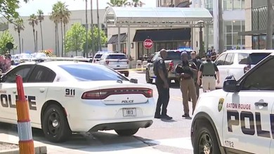 1 dead, multiple people hurt in Louisiana mall shooting, suspect at large: Officials 1 dead, multiple people hurt in Louisiana mall shooting, suspect at large: Officials