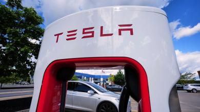 Tesla stock slumps after initial jump on X posts teasing product launch, reported to be cheaper Model Y Tesla stock slumps after initial jump on X posts teasing product launch, reported to be cheaper Model Y