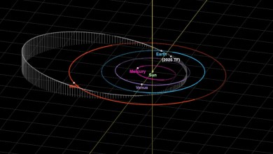 Asteroid just flew closer to Earth than many satellites, space agencies say Asteroid just flew closer to Earth than many satellites, space agencies say
