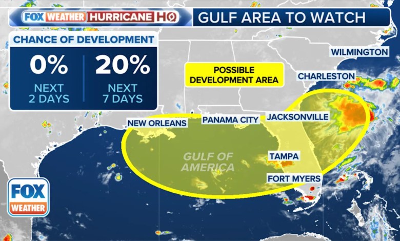 Disturbance to drench Florida, then watching for development in the Gulf Disturbance to drench Florida, then watching for development in the Gulf