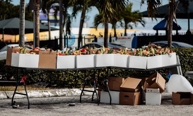 The Real Test for Democrats The Real Test for Democrats