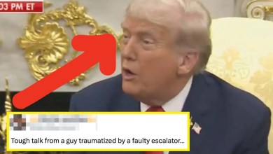 Donald Trump Just Blamed Another Tragedy On The “Radical Left,” And The Internet Is Not Having It Donald Trump Just Blamed Another Tragedy On The “Radical Left,” And The Internet Is Not Having It