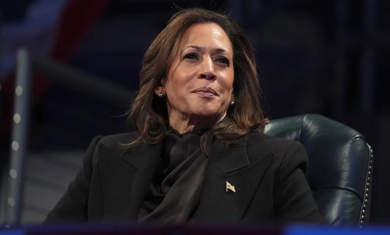 2028 Dem frontrunner beating Kamala Harris has 0% Black support, poll finds 2028 Dem frontrunner beating Kamala Harris has 0% Black support, poll finds