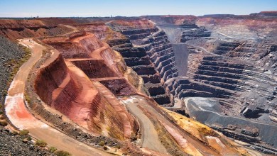 Scientist makes first-of-its-kind discovery on remote mountain range: ‘It was incredible’ Scientist makes first-of-its-kind discovery on remote mountain range: ‘It was incredible’