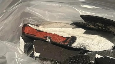 ‘Elon needs to take this into account for the future’ ‘Elon needs to take this into account for the future’