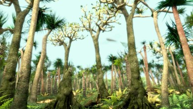 Scientists Found a “Living Fossil” with a Twisted Jaw and Teeth That Point Sideways Scientists Found a “Living Fossil” with a Twisted Jaw and Teeth That Point Sideways