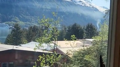 Onlooker sparks outrage with disturbing video of cruise ship docked in port: ‘Need to be banned’ Onlooker sparks outrage with disturbing video of cruise ship docked in port: ‘Need to be banned’