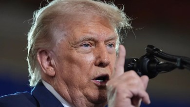 Trump had ‘many’ concerns about AI draft policy order Trump had ‘many’ concerns about AI draft policy order