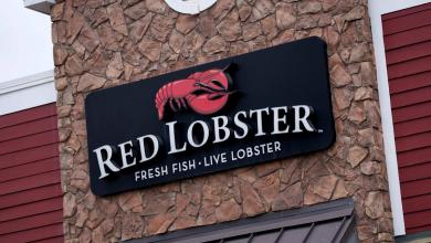 Red Lobster brings back the ‘endless shrimp’ deal that cost them millions Red Lobster brings back the ‘endless shrimp’ deal that cost them millions