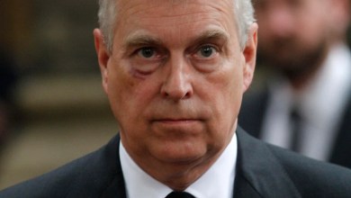 Andrew arrest – live: Former prince arrested amid Epstein files investigation Andrew arrest – live: Former prince arrested amid Epstein files investigation