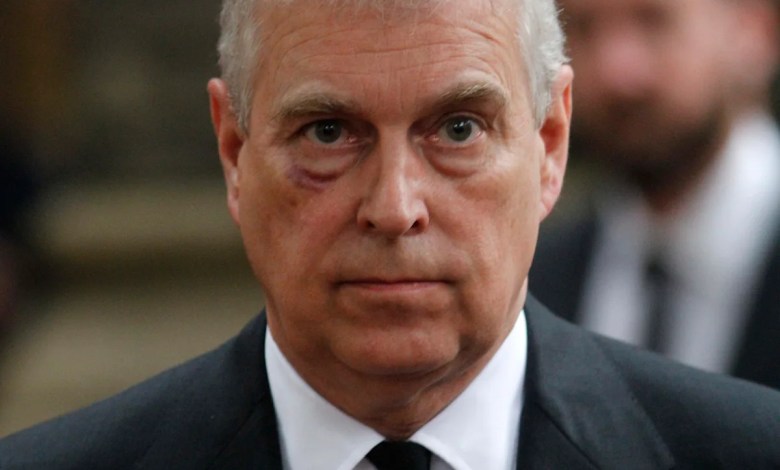 Andrew arrest – live: Former prince arrested amid Epstein files investigation Andrew arrest – live: Former prince arrested amid Epstein files investigation