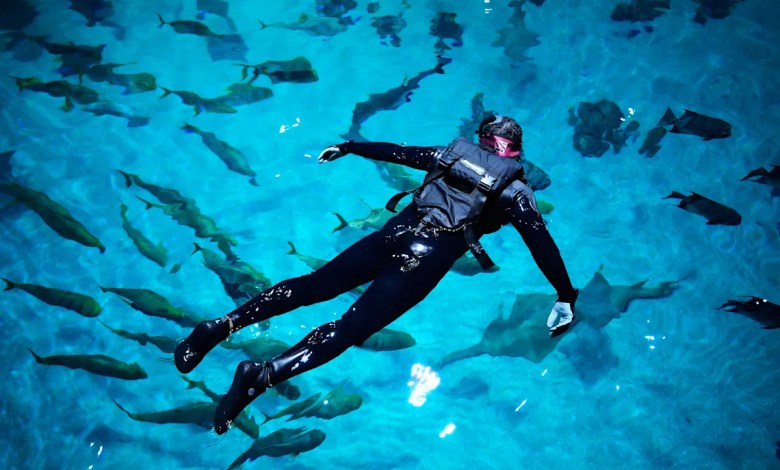 Injured US military veterans find relief and awe swimming with a whale shark at Georgia Aquarium Injured US military veterans find relief and awe swimming with a whale shark at Georgia Aquarium