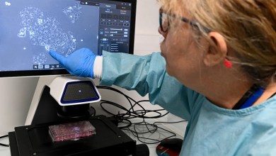Why these treatments for one of the deadliest cancers are stirring such hope Why these treatments for one of the deadliest cancers are stirring such hope