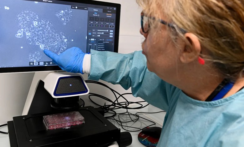 Why these treatments for one of the deadliest cancers are stirring such hope Why these treatments for one of the deadliest cancers are stirring such hope