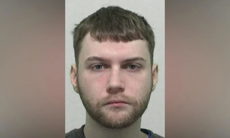 Paedophile’s stash found after partner reported him Paedophile’s stash found after partner reported him