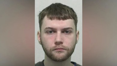 Paedophile’s stash found after partner reported him Paedophile’s stash found after partner reported him