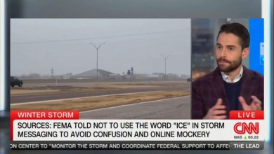 Jake Tapper Can’t Believe Trump Officials Reportedly Told FEMA Not To Say ‘Ice’ Amid Winter Storm Jake Tapper Can’t Believe Trump Officials Reportedly Told FEMA Not To Say ‘Ice’ Amid Winter Storm