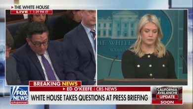 'You're Kidding, Right?' Karoline Leavitt Gobsmacked After Reporter Asks for Examples of Media Falsely Calling Trump Racist 'You're Kidding, Right?' Karoline Leavitt Gobsmacked After Reporter Asks for Examples of Media Falsely Calling Trump Racist