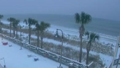 Carolinas buried under more than a foot of snow Carolinas buried under more than a foot of snow