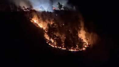 Rim Fire up north marks one of Arizona’s first fires of 2026 Rim Fire up north marks one of Arizona’s first fires of 2026