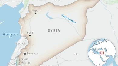 Syrian government confirms detention of missing German journalist Syrian government confirms detention of missing German journalist