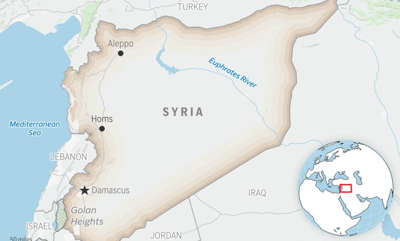 Syrian government confirms detention of missing German journalist Syrian government confirms detention of missing German journalist