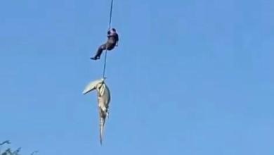 Police officer lowered into crocodile-infested river to recover human remains Police officer lowered into crocodile-infested river to recover human remains