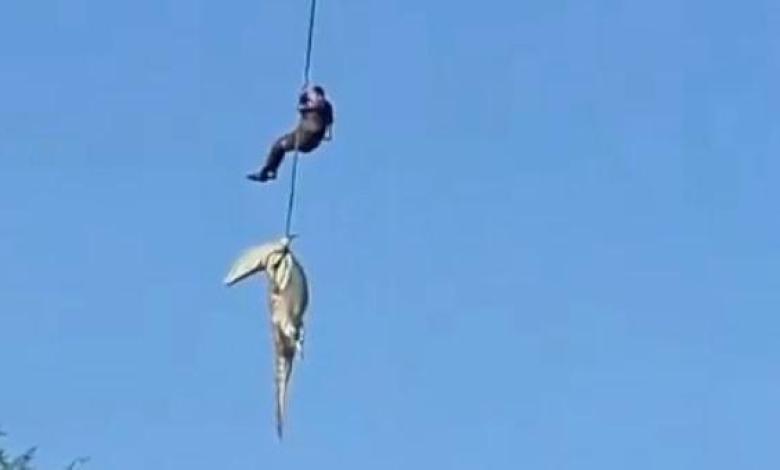 Police officer lowered into crocodile-infested river to recover human remains Police officer lowered into crocodile-infested river to recover human remains