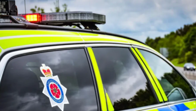 Woman dies trying to rescue dog from sea Woman dies trying to rescue dog from sea