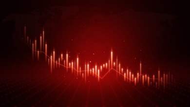 ‘Can You Imagine Any Other CEO With A Plunging Stock…’ ‘Can You Imagine Any Other CEO With A Plunging Stock…’