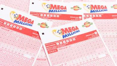 Most People Buy Mansions But This Virginia Lottery Winner Took the Lump Sum From a 8 Million Jackpot and Bought a Zero-Turn Lawn Mower Instead Most People Buy Mansions But This Virginia Lottery Winner Took the Lump Sum From a 8 Million Jackpot and Bought a Zero-Turn Lawn Mower Instead