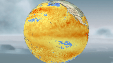 El Niño is coming faster than expected and chances are rising that it will be historically strong El Niño is coming faster than expected and chances are rising that it will be historically strong