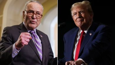 Trump promises Schumer funding for NY tunnel project — if Penn Station and Dulles Airport are renamed after him Trump promises Schumer funding for NY tunnel project — if Penn Station and Dulles Airport are renamed after him