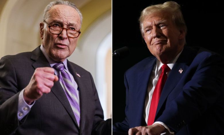 Trump promises Schumer funding for NY tunnel project — if Penn Station and Dulles Airport are renamed after him Trump promises Schumer funding for NY tunnel project — if Penn Station and Dulles Airport are renamed after him